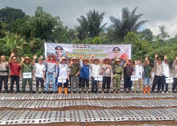 Polres Tanggamus Tanam Bawang Putih, Strategi Unik Polisi Jaga Ketahanan Pangan Nasional